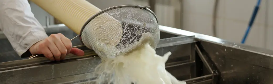 food and beverage processing