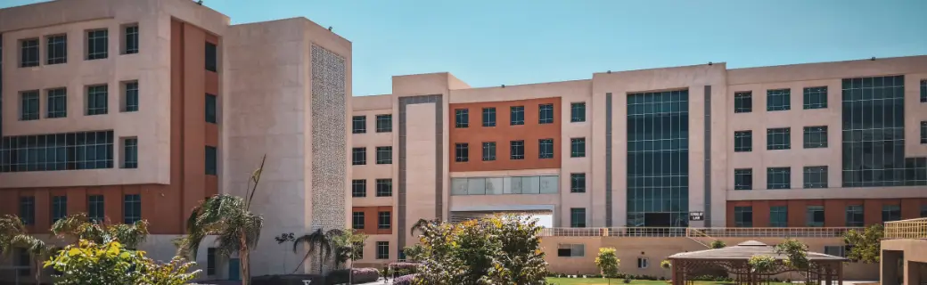 college and institutions